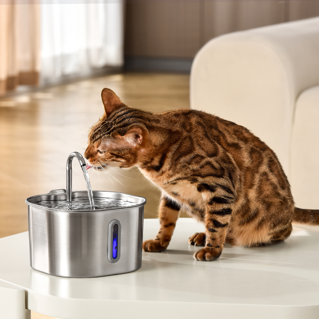 KittySpout™ 2.2L Stainless Steel Cat Fountain