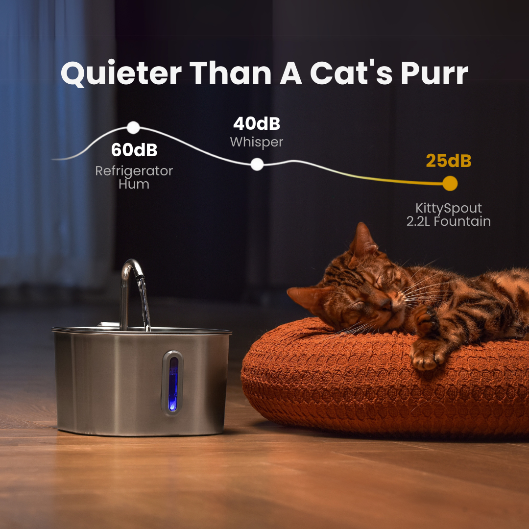 KittySpout™ 2.2L Stainless Steel Cat Fountain